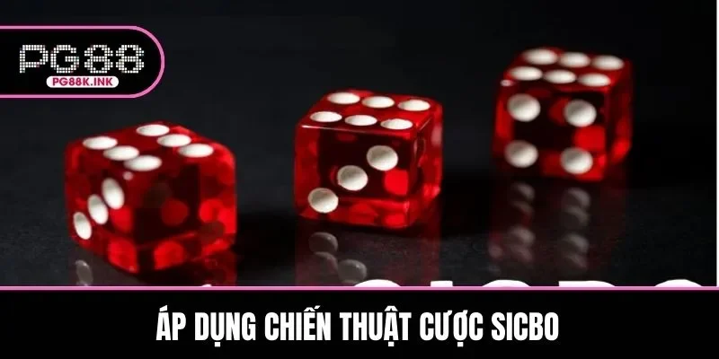 Hội viên cần chọn chiến thuật cược phù hợp cho từng ván